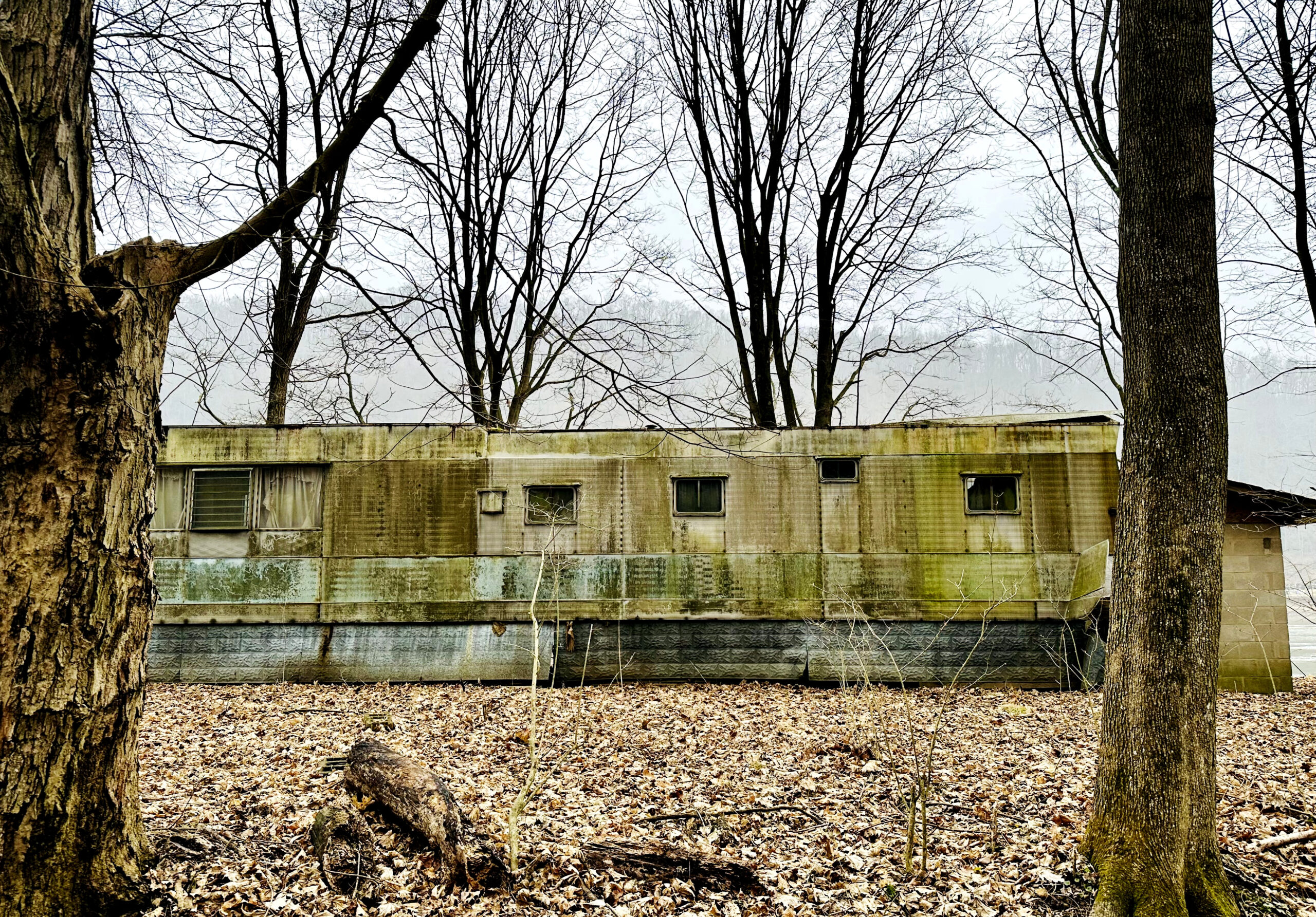 "Mold Trailer" by Greg Clary