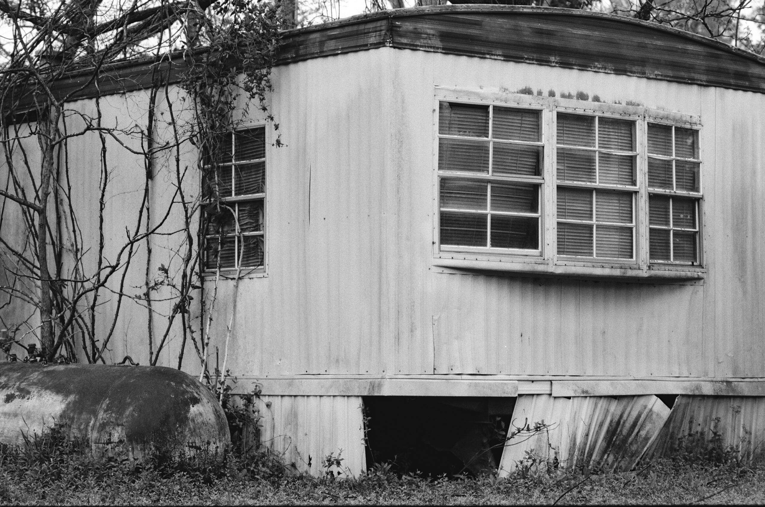 "Ridgeville Kimmerlins" by Tom Liskey