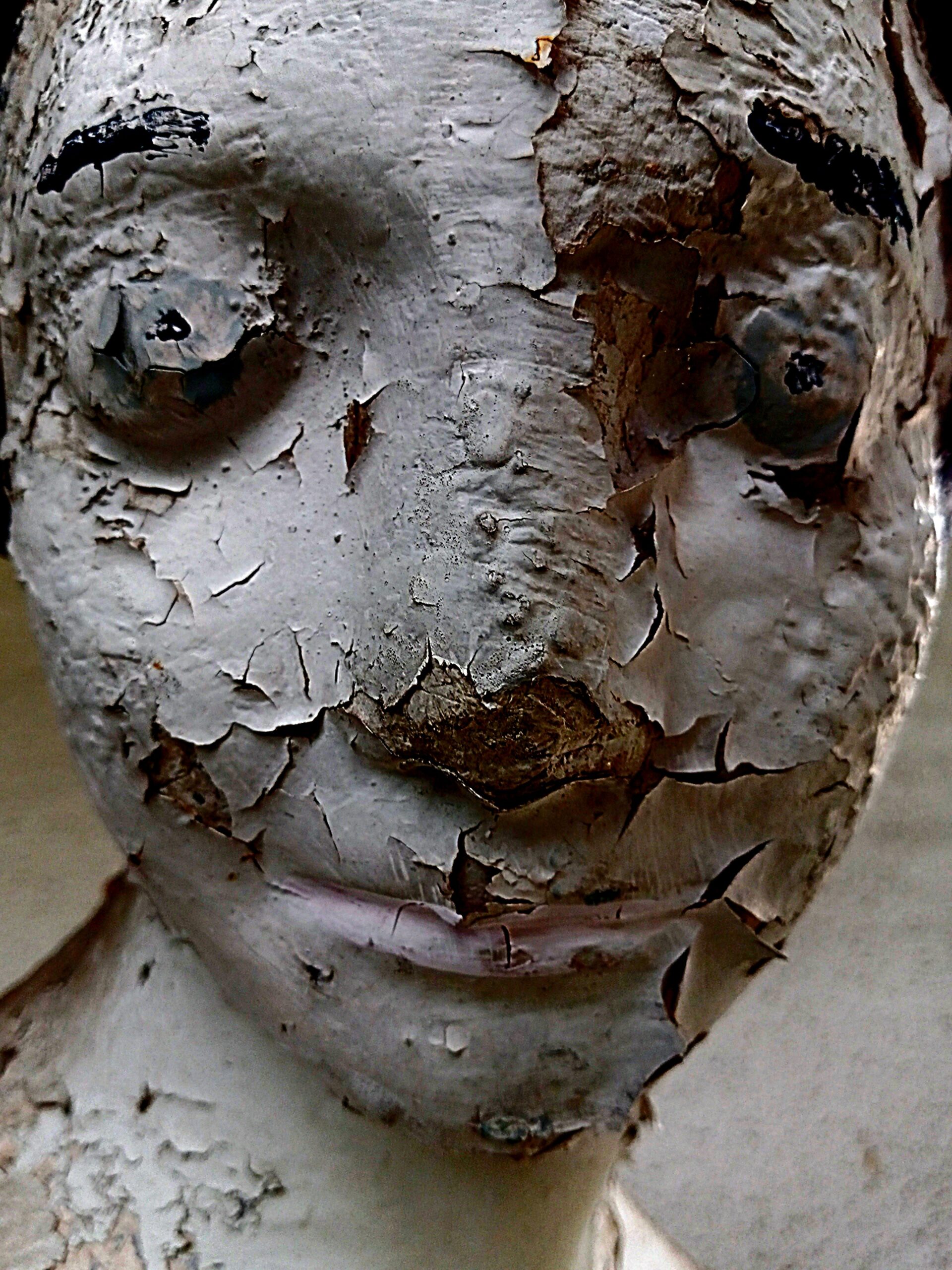 "Rotting Tree Head" by Wendy Raney