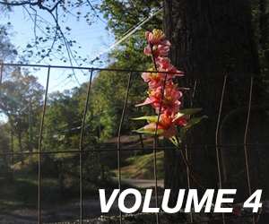 Trailer Park Quarterly, Volume 4